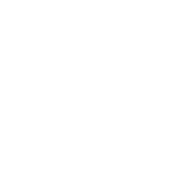 Arquus Arquus